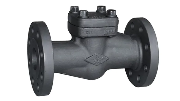 Forged Check Valves Manufacturer in Rajkot
