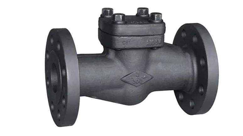Forged Check Valves Manufacturer in Ankleshwar