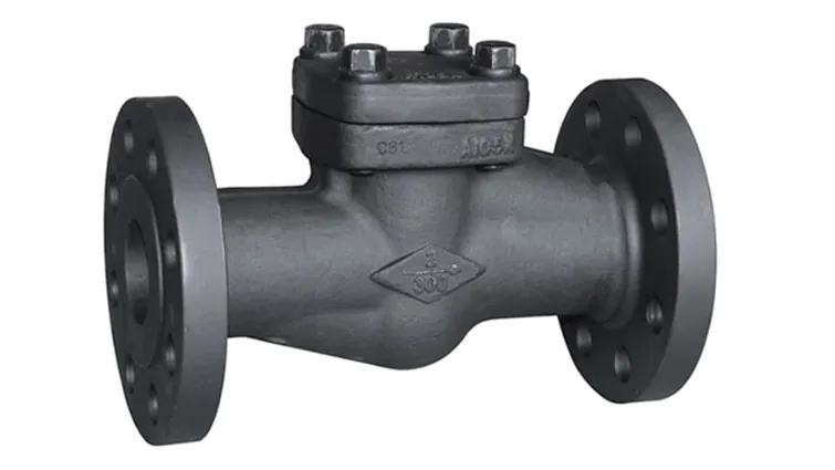 Forged Check Valves Manufacturer in Ankleshwar