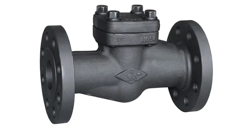 Forged Check Valves Manufacturer in Ankleshwar