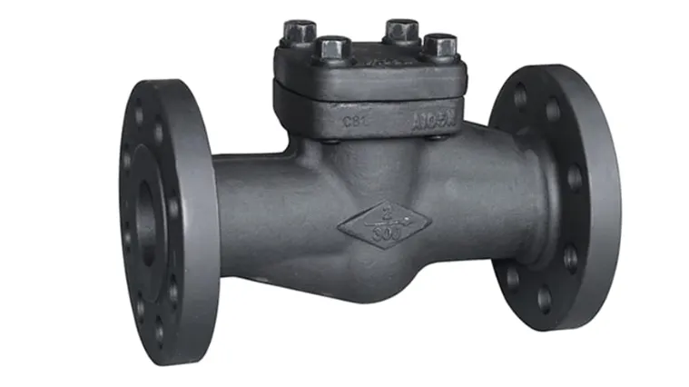 Forged Check Valves Manufacturer in Ankleshwar