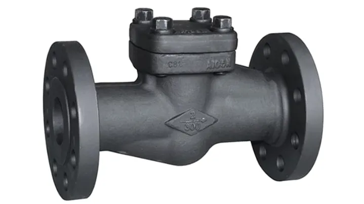 Forged Check Valves Manufacturer in Ankleshwar