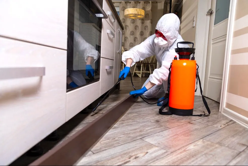 General Pest Control Service Near Me in Borivali for Everyday Pest Management Needs