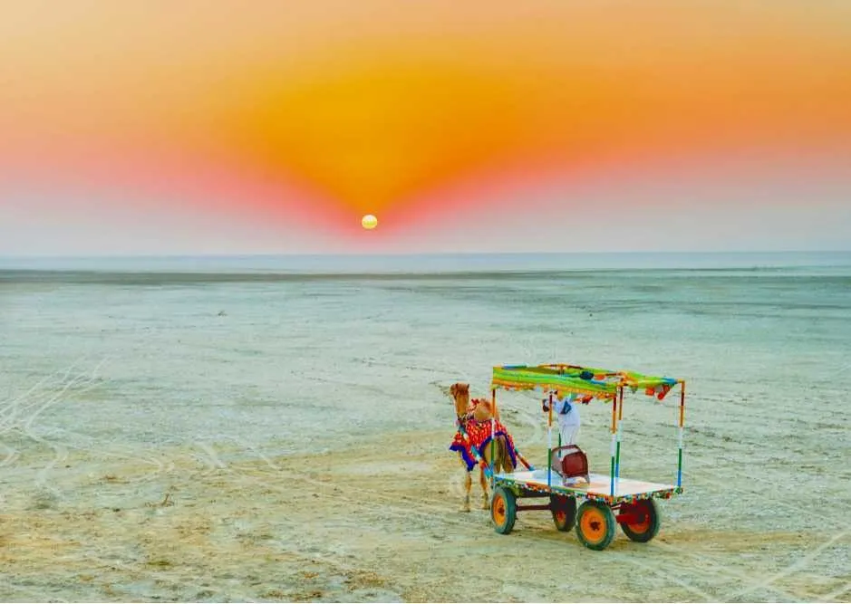 Places to Visit in Gujarat
Kutch
Kutch Tourism
Virtually an island that resembles the shape of a...