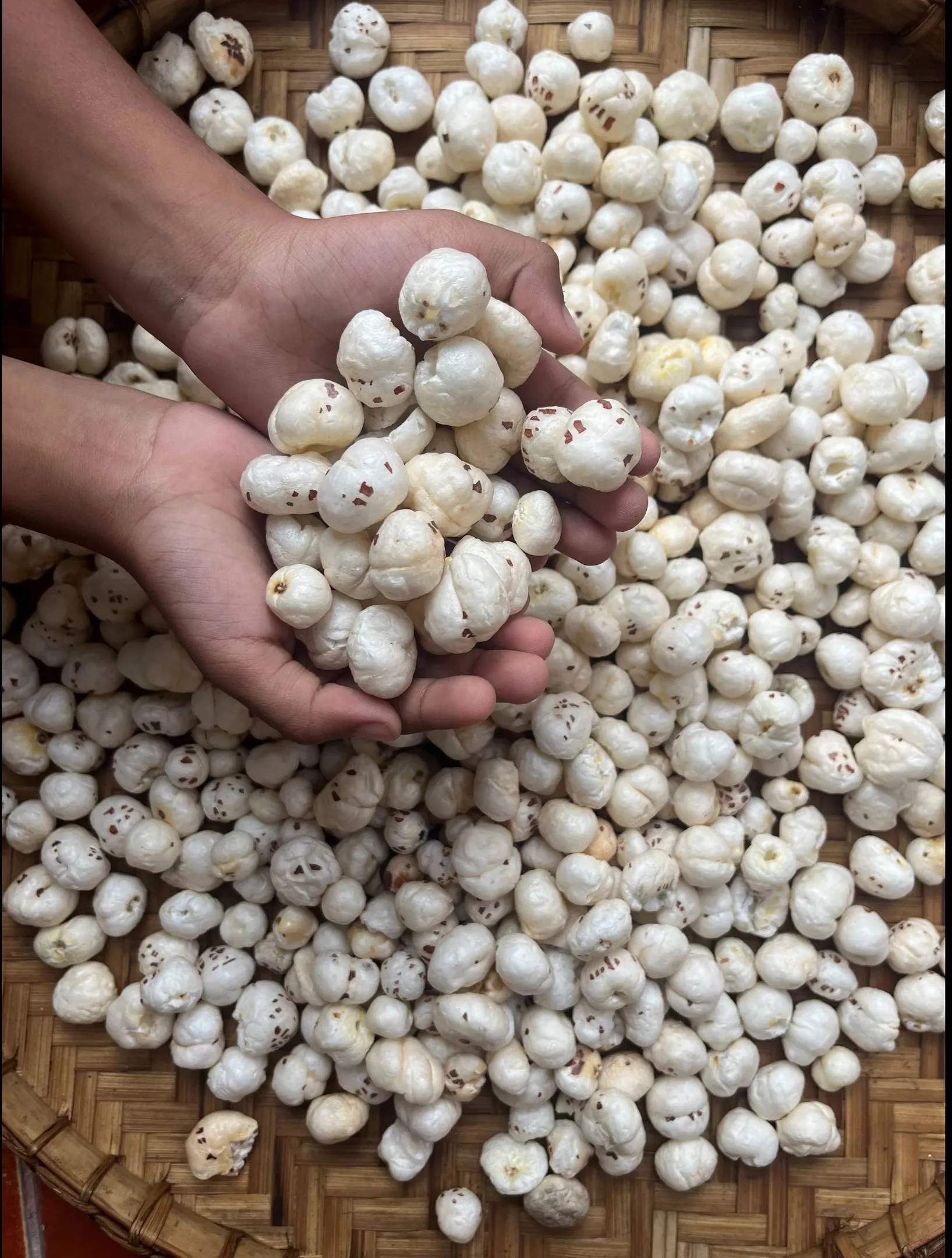 SS Oveseas - Large and well-rounded, suitable for direct snacking or high-quality Salted Makhana