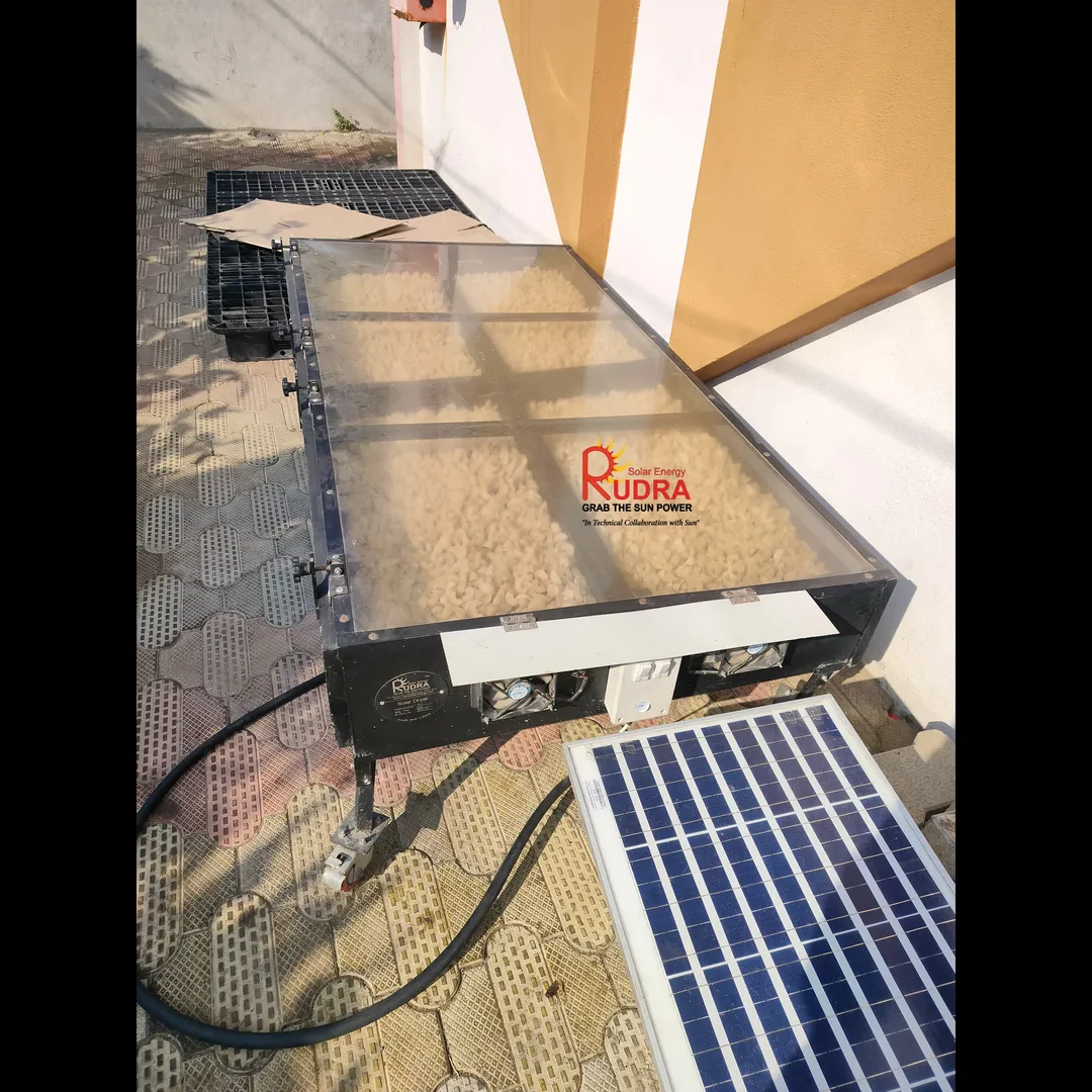 Solar Drying of Orange