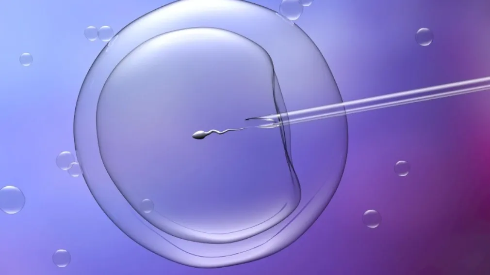 IVF Treatment in Nashik A Comprehensive Fertility Solution for Couples