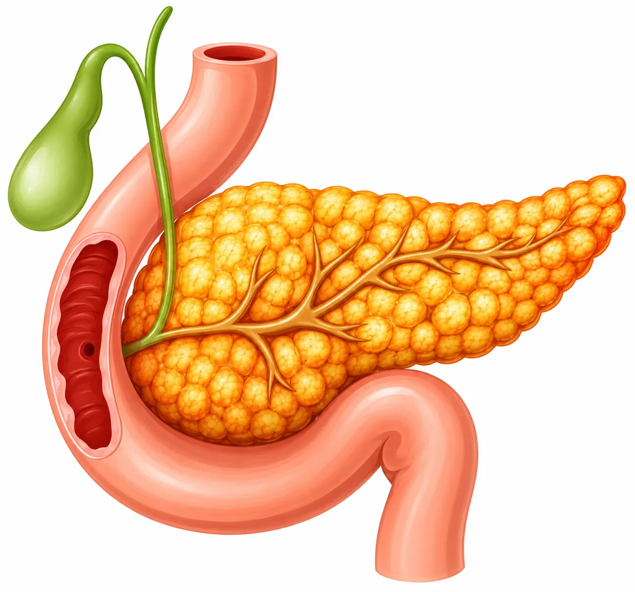 Pancreatitis Treatment Specialist in PCMC – Understanding a Condition That Should Never Be Ignored