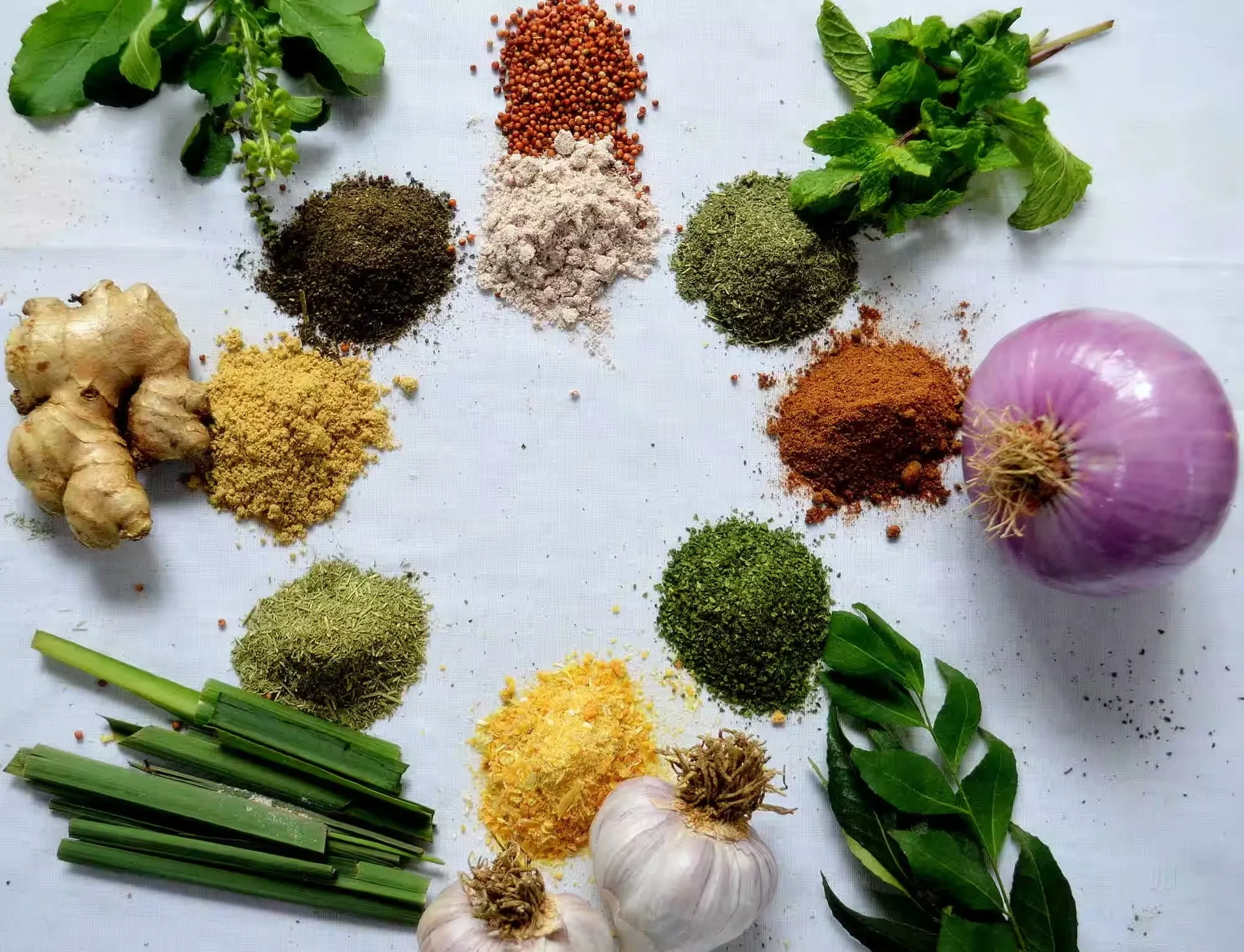 Buy Premium Dried Vegetable Powder from India for Worldwide Distribution From SS Overseas