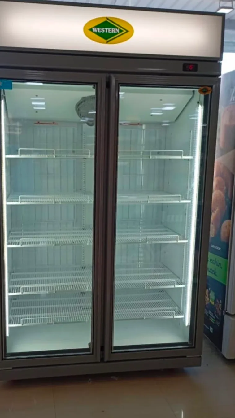 Blue Star Voltas Haier Daikin Elanpro Western Rockwell Deep Freezer Visi Cooler Dealer In Ooty