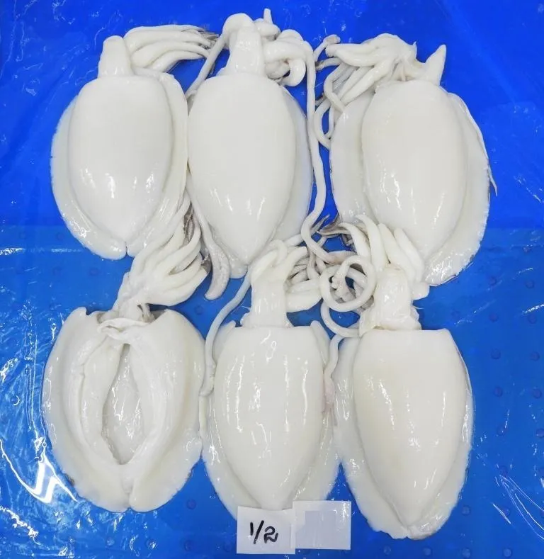 Cuttlefish whole cleaned IQF