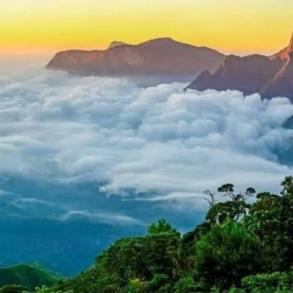 Tourist Places in Kerala
Munnar
Munnar Tourism
Famous for the tea estates, greenery, winding road...