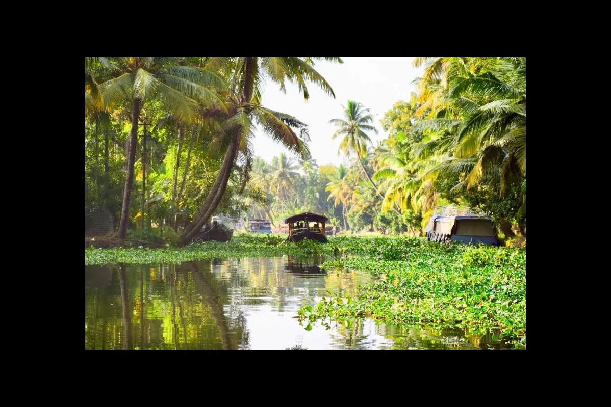 Tourist Places in Kerala
Alleppey
Alleppey Tourism
Officially called Alappuzha, Alleppey is known...