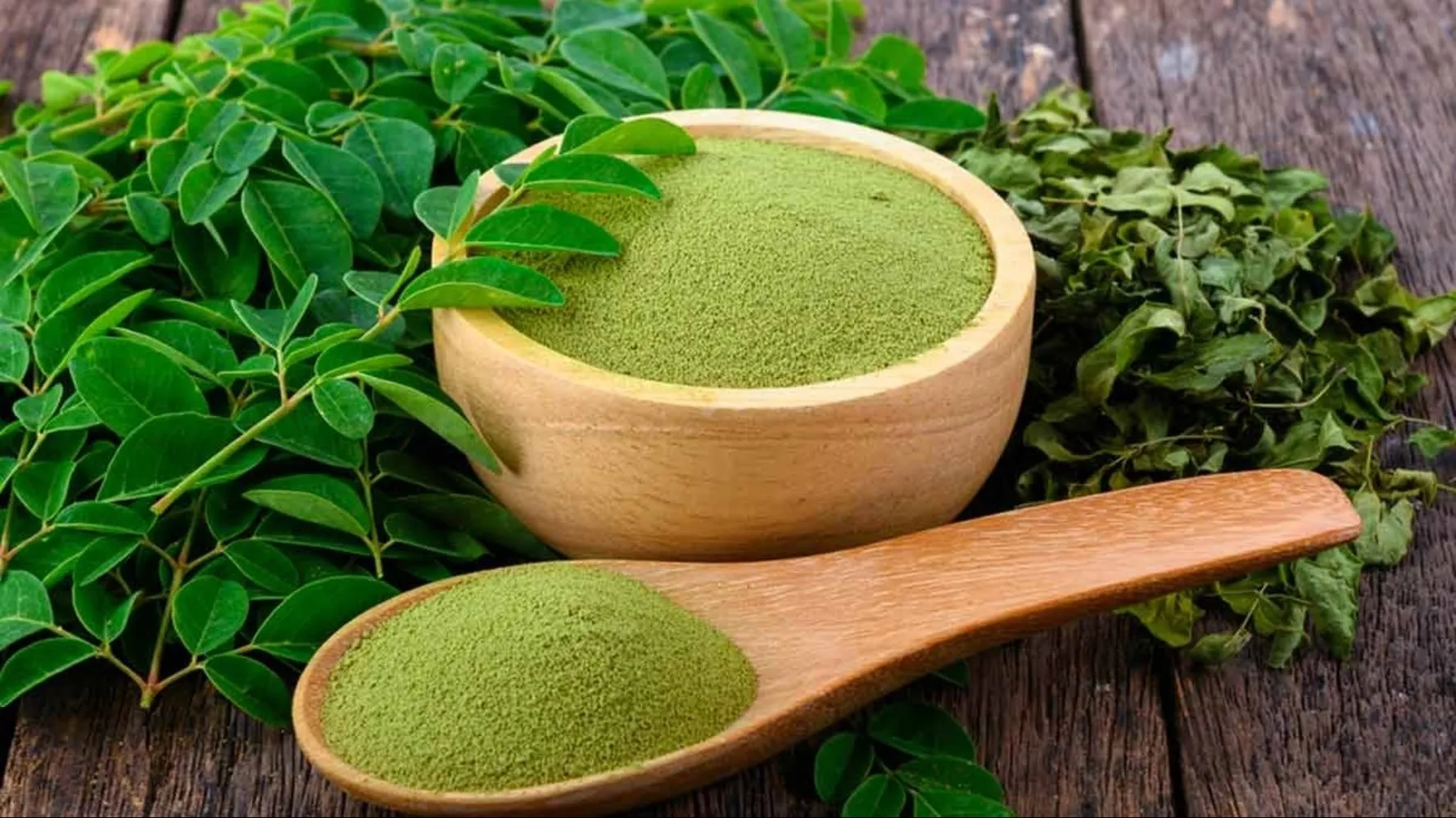 Purchase Natural Moringa Leaves Powder from SS Overseas India β Global Export Partner