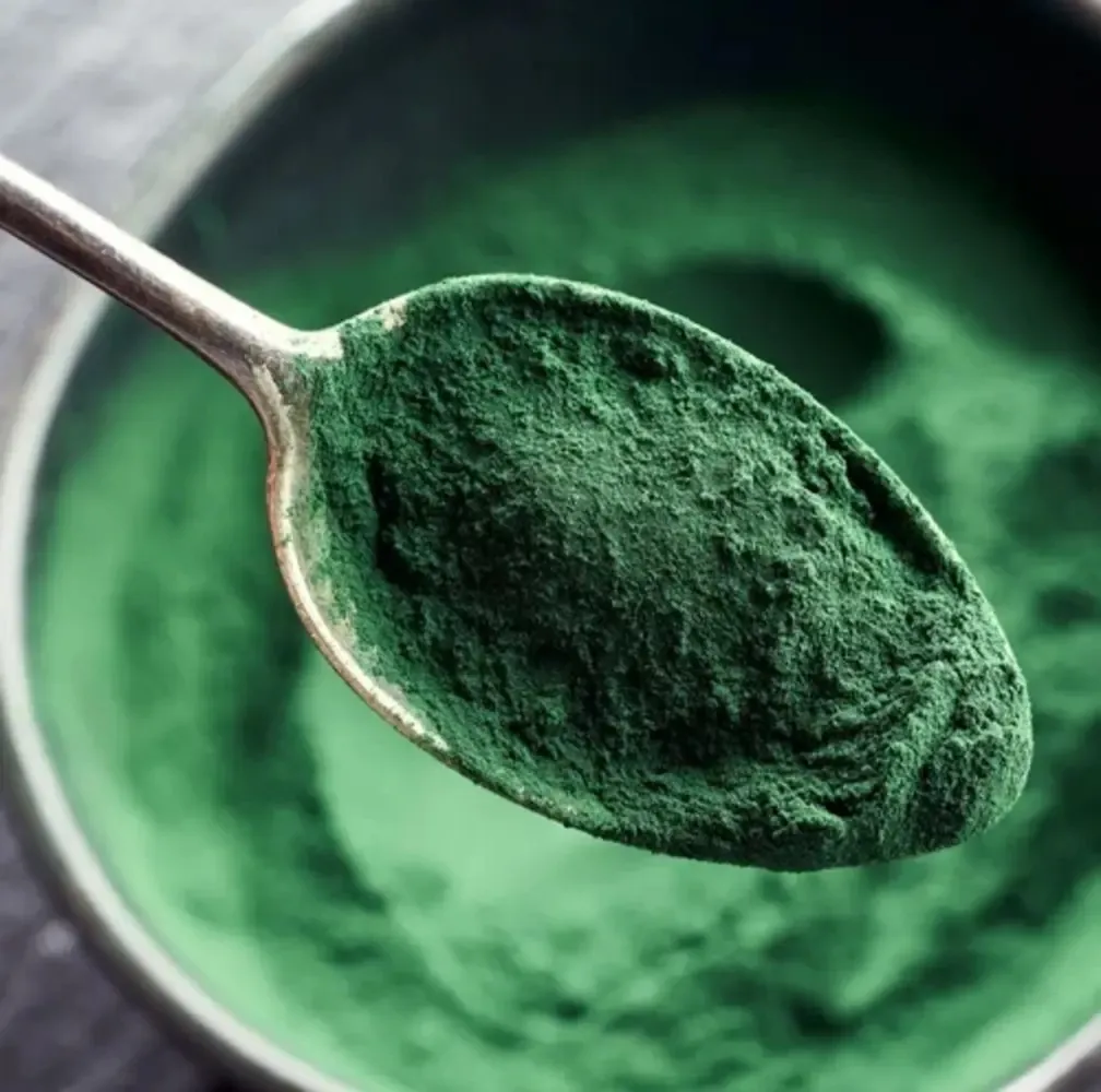 Purchase Natural Spirulina Powder from SS Overseas India โ Global Export Partner Worldwide Shipping