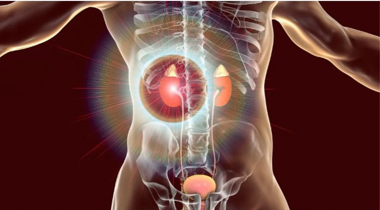 Laser Surgery for Kidney Stones in Jaipur – A Modern Approach to Faster Recovery