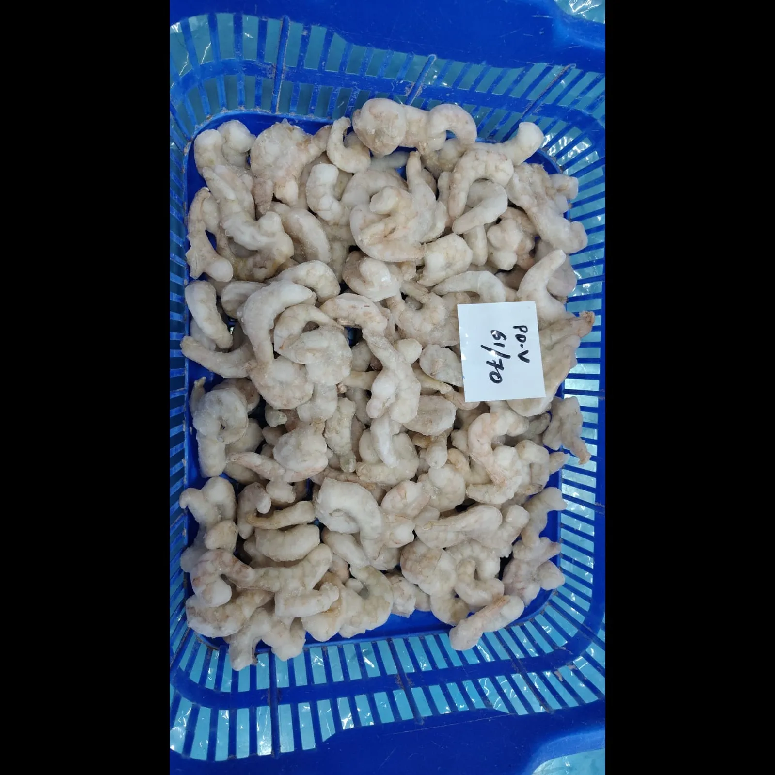PD G2 SHRIMPS 51/60, 61/70 & 71/90