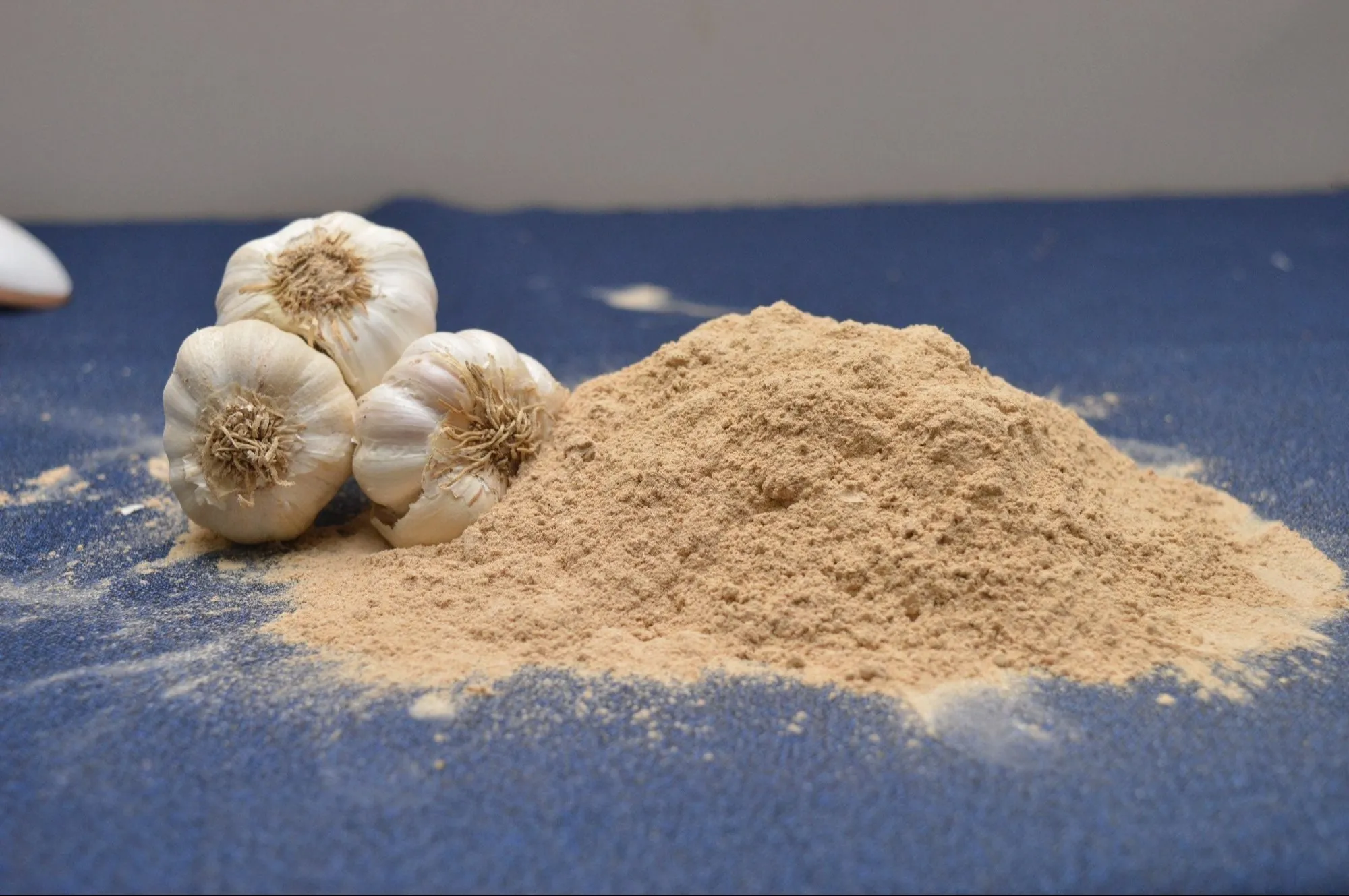 Export-Quality Dehydrated Garlic Powder from India โ SS Overseas Reliable Global Partner