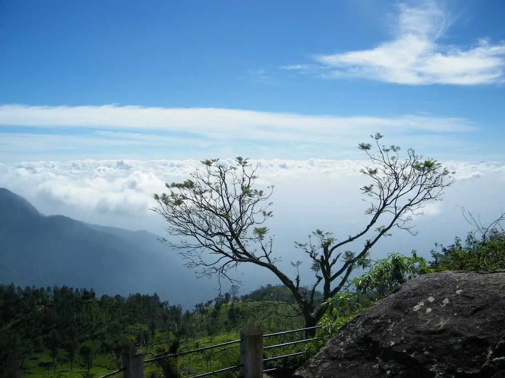 Tourist places in Tamil Nadu
Ooty
Ooty Tourism
Nestled amidst Nilgiri hills, Ooty, also known as ...