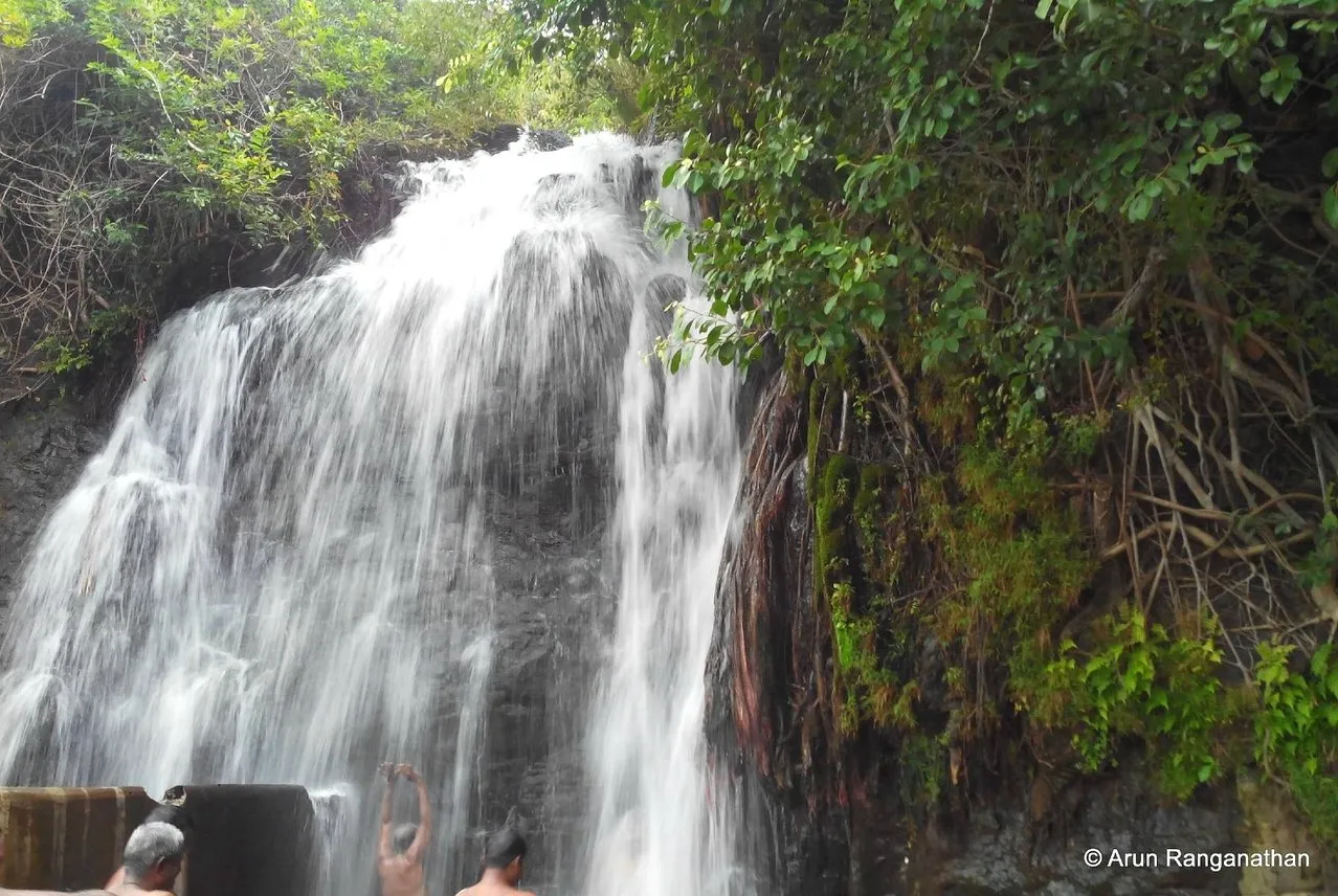 Tourist places in Tamil Nadu
Tirunelveli
Tirunelveli Tourism
Tirunelveli, also called Tinnevelly,...
