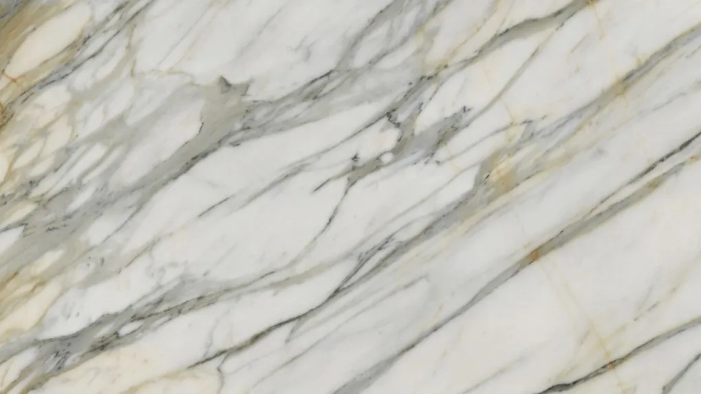 Adanga Marble Dealer in Bhosari A Distinctive Choice for Premium Interior Spaces