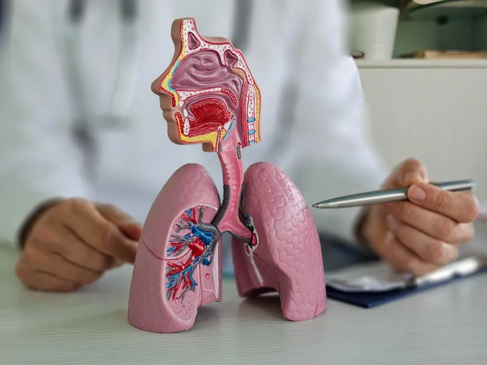 Cough Specialist for Persistent Respiratory Issues in Pune Understanding Why Symptoms Keep Returning