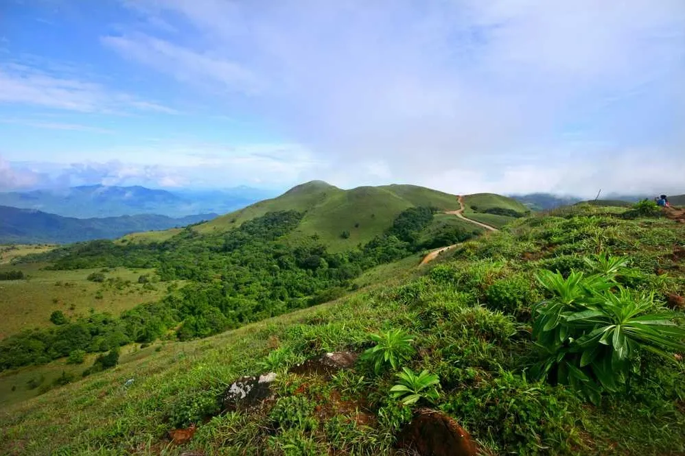 Places To Visit In Coorg
Mandalpatti
Mandalpatti, Coorg Overview
Overlooking the grassy knolls of...