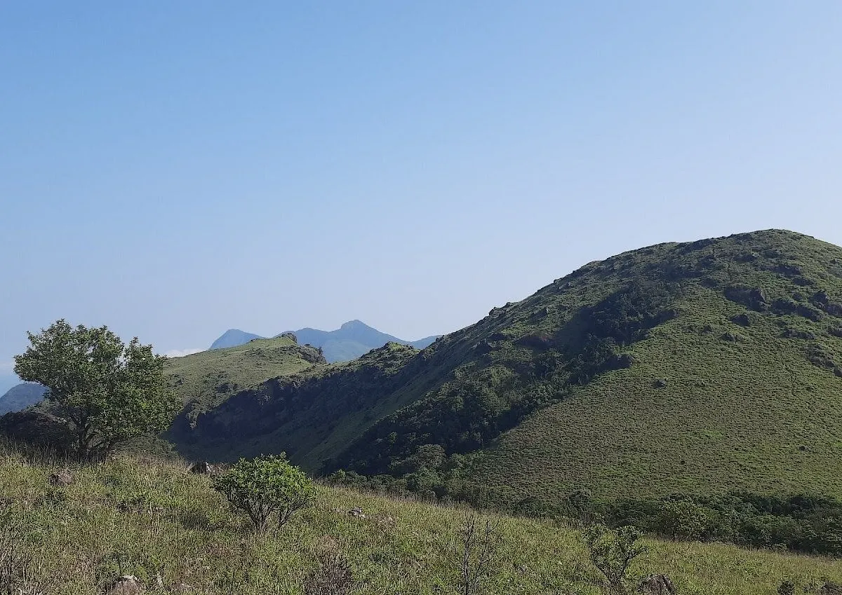 Places To Visit In Coorg
Tadiandamol Peak
Tadiandamol Peak, Coorg Overview
Tadiandamol is the hig...