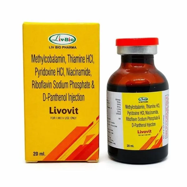 Livovit Exporter to Washington, USA |City Drug Exporters INDIA