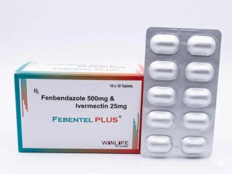 Febentel Plus 500 Exporter to Washington, USA, Zimbabwe, New zealand |City Drug Exporters INDIA