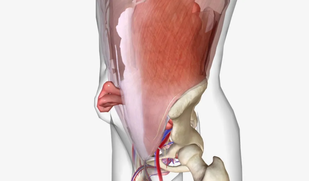 Best Hernia Surgeon in Dombivli East | Understanding Hernia Treatment