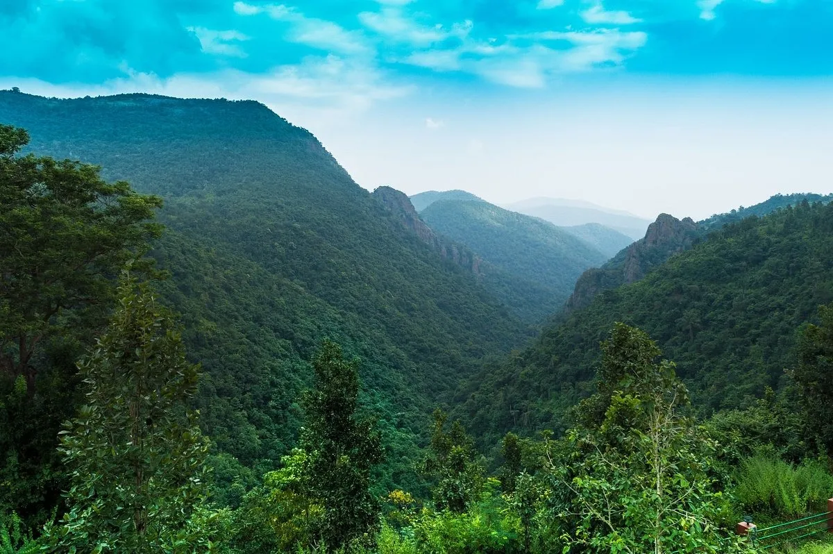 Tourist Places in Odisha
Daringbadi
Daringbadi Tourism
Daringbadi is a hilly town in Odisha. Hidd...