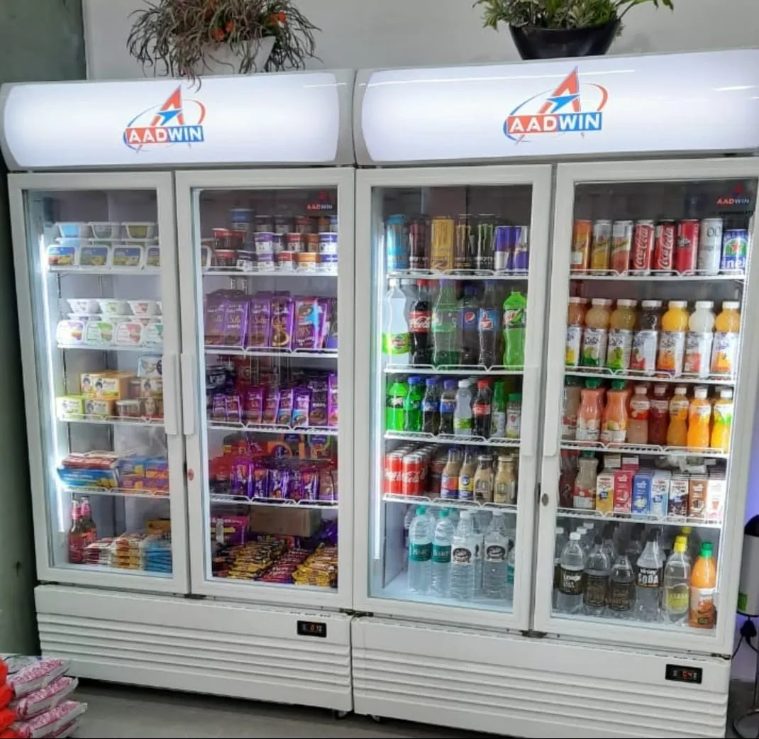 Supermarket 2 Door Visicooler In Chandigarh