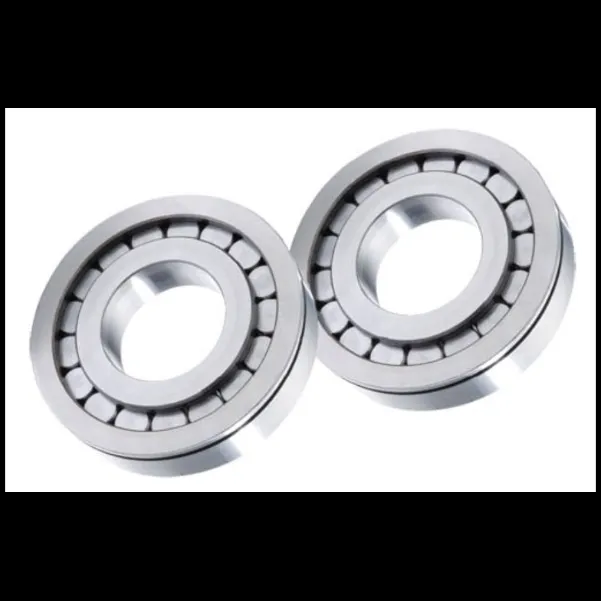 SBalaji Industrial Partners Pvt. Ltd. NCF2964V Cylindrical Roller Radial Bearings in haridwar