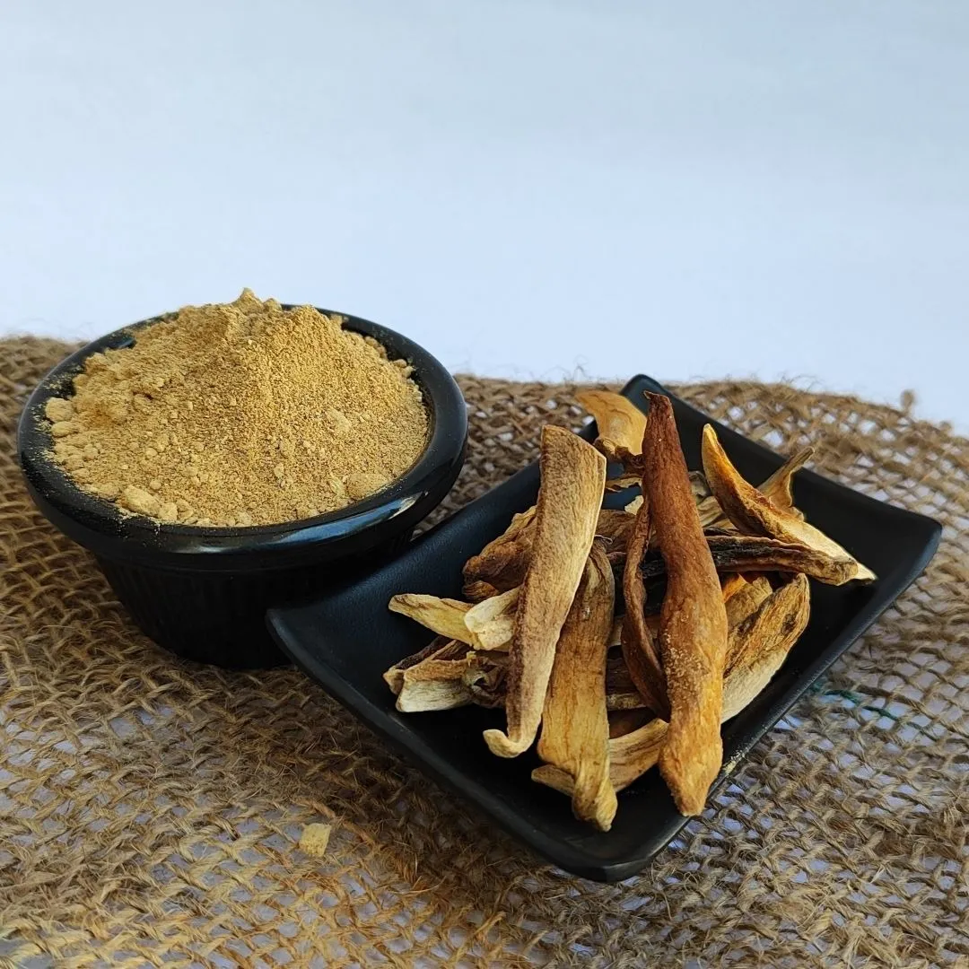 Worldwide B2B Exporter of High-Quality Premium Dried Raw Mango Powder with Fast Delivery From India