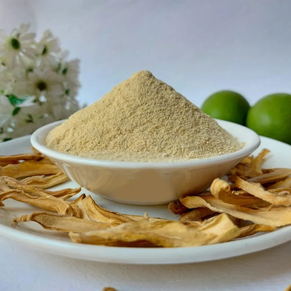Experience the Best Quality Tangy Dry Mango Powder – Exported Worldwide From SS Overseas