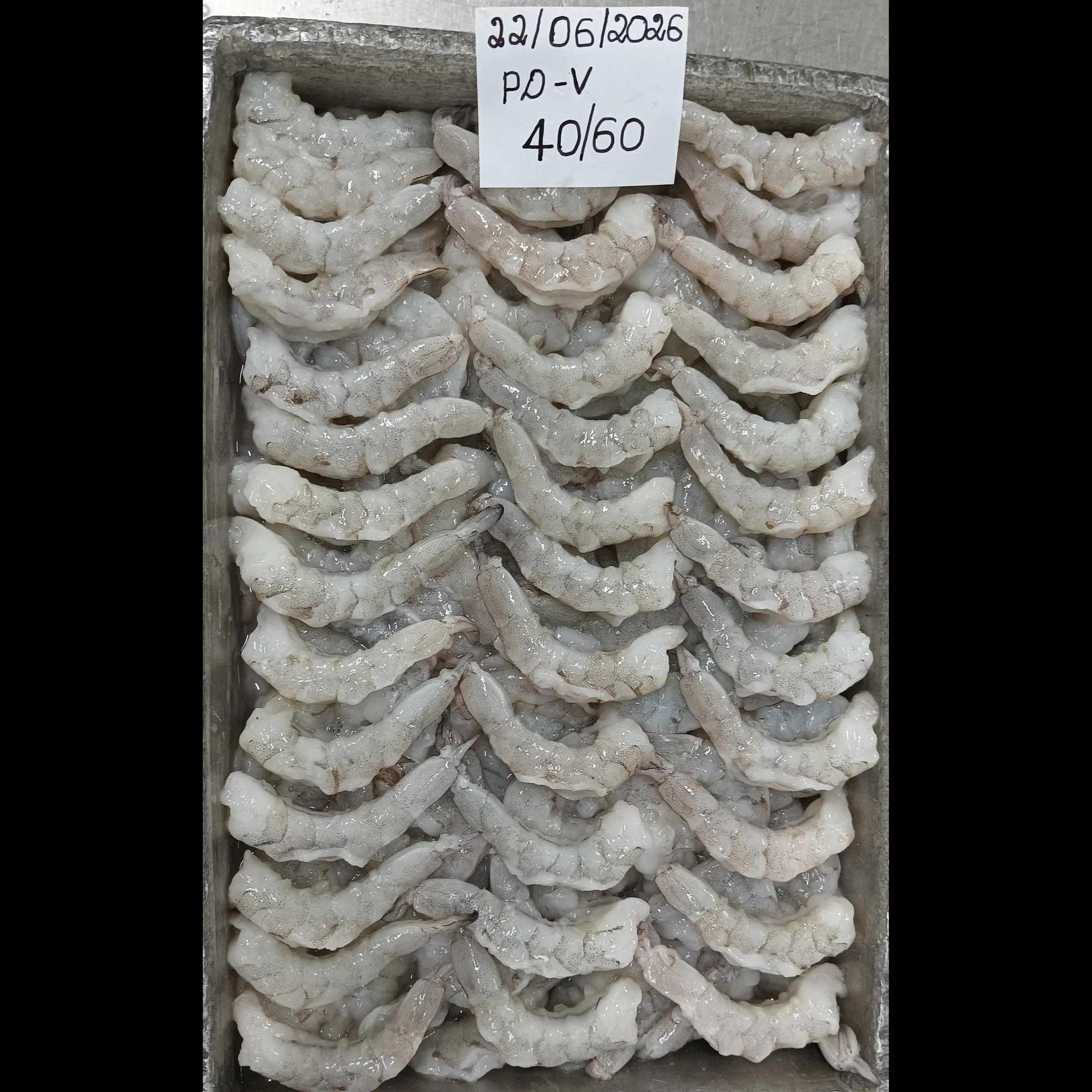 PD SHRIMPS 40/60 SIZE