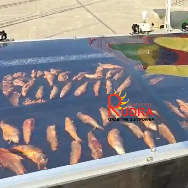 Solar Drying For Fish