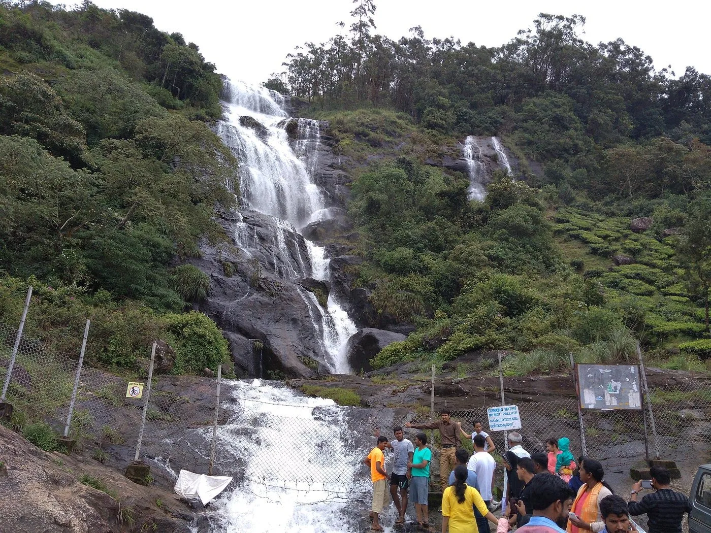 Visit Places in South India
Munnar
Munnar Tourism
Famous for the tea estates, greenery, winding ...