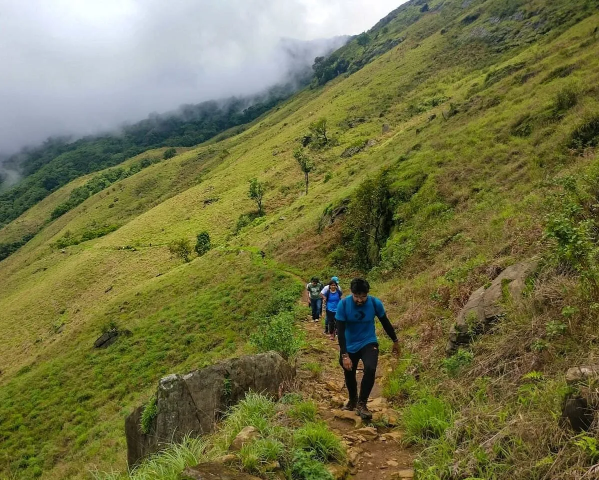Visit Places in South India
Kudremukh
Kudremukh Tourism
Popular and named after a mountainside t...