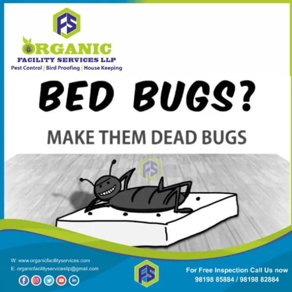 Affordable Bed Bugs Pest Control Service Near Me in Andheri for Better Sleep and Living Comfort