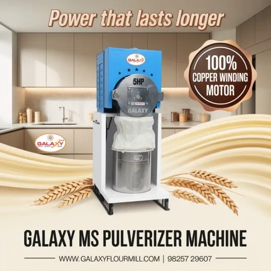 Chapati Machine in Dehradun – Automated Chapati Production Solution for Commercial Kitchens