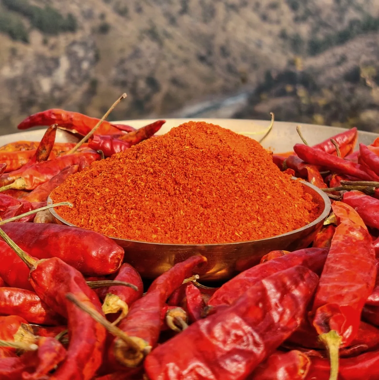 Worldwide B2B Exporter of Natural Pure Red Chilli Powder – Premium Indian Spice with Global Delivery