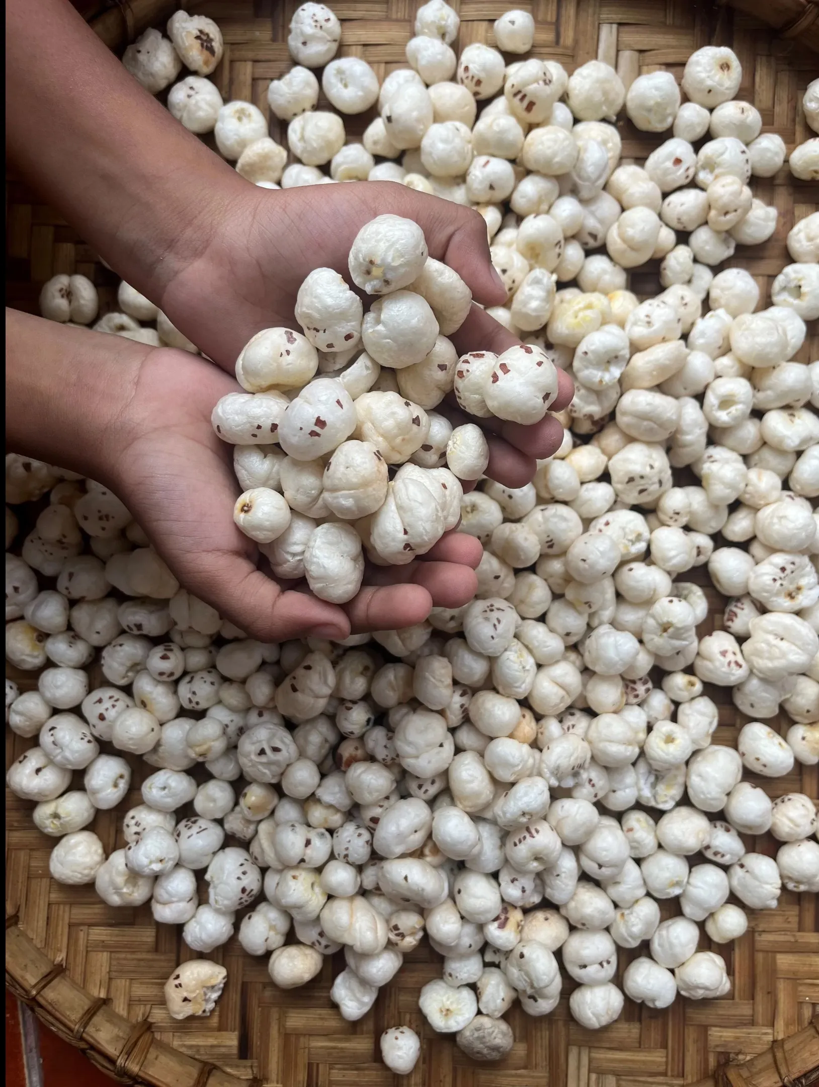 Premium Salted Makhana Exporter from India | Bulk Roasted Fox Nuts Supplier