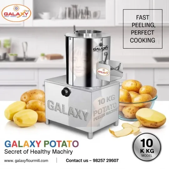 Garlic Peeler Machine in Dehradun – Efficient Garlic Processing Solution for Food Businesses