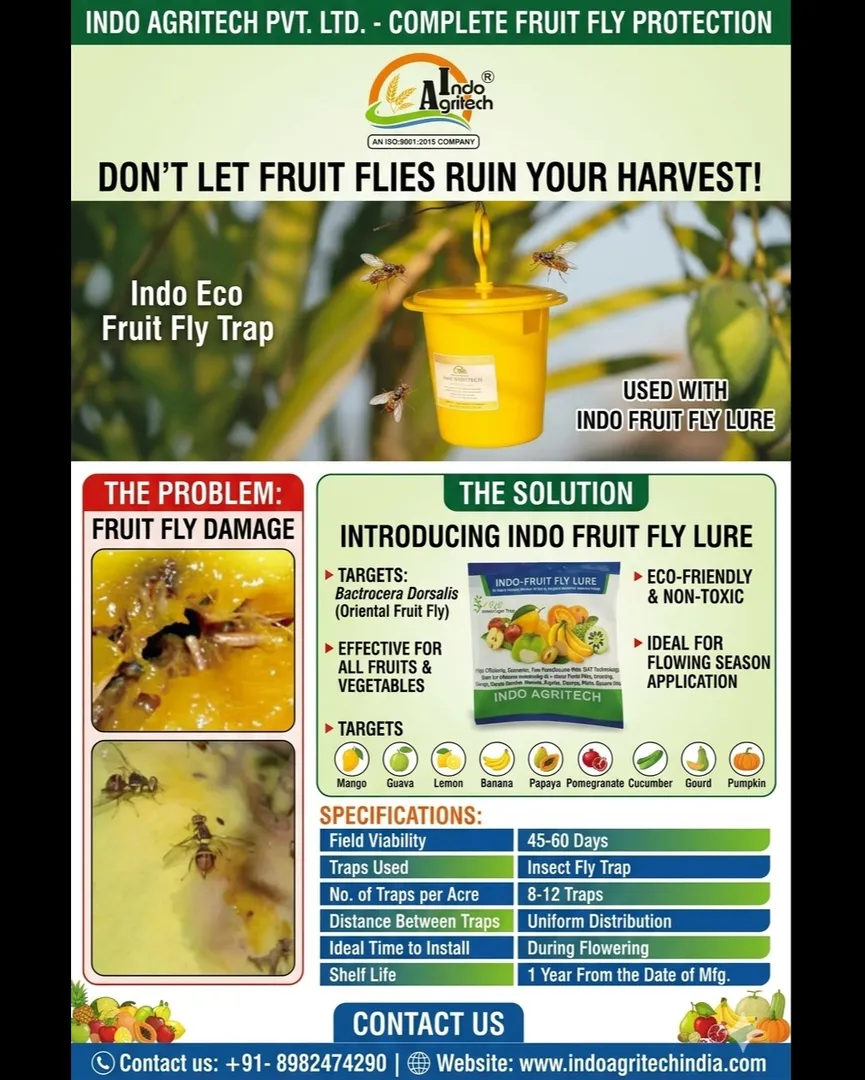 Order Your Indo Eco Fruit Fly Trap and Indo Fruit Fly Lure Today!
The Indo Eco Fruit Fly Trap is ...