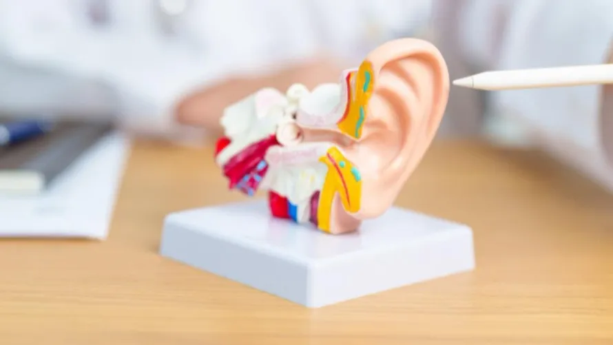 Hearing Issue Specialist in Nashik for Early Diagnosis and Better Hearing Health