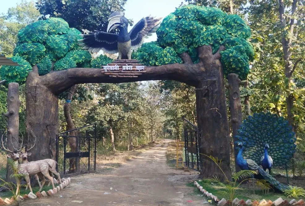 Beautification Works in Nagpur – Creating More Attractive Public and Commercial Spaces