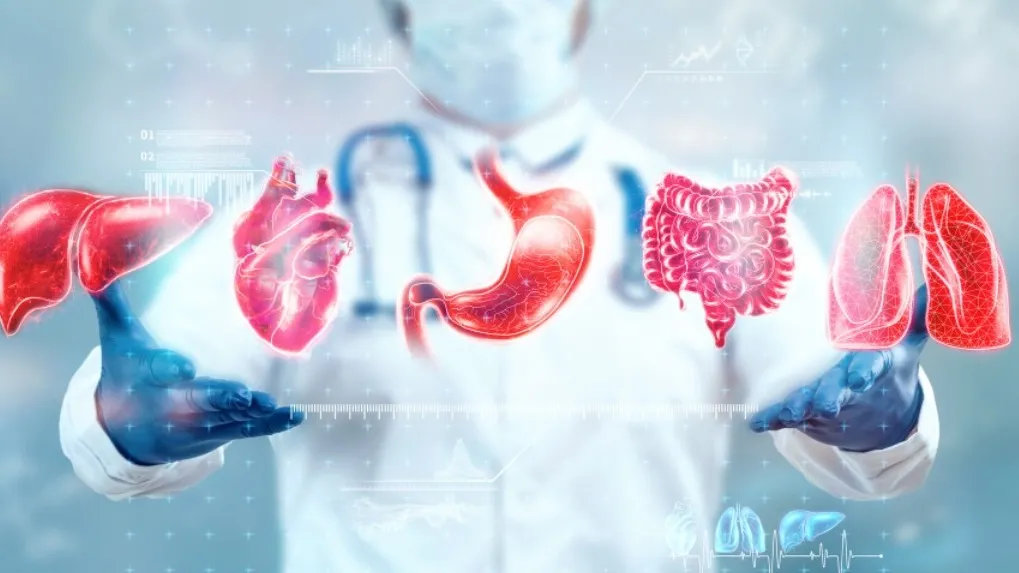 Internal Medicine Specialist in Dhanori, Pune
