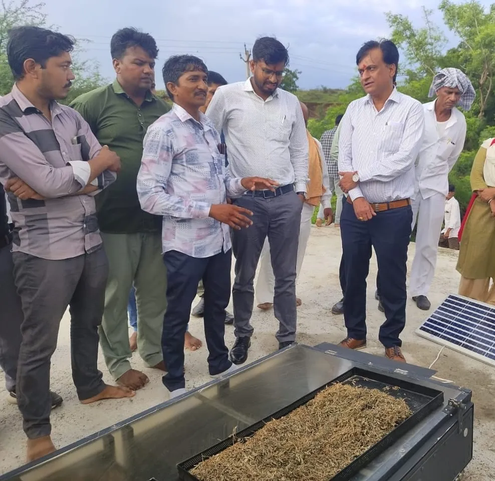 Solar Drying Machine For Lemon